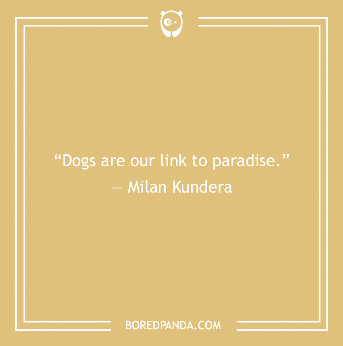 Milan Kundera's quote on dogs