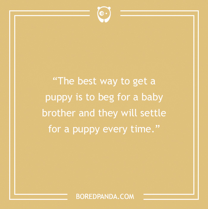 Quote about getting a puppy
