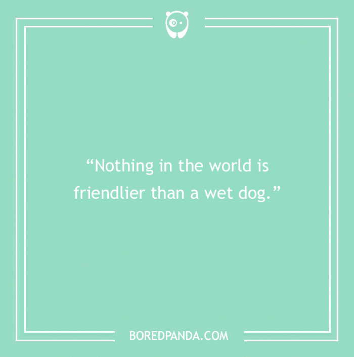 Funny quote about wet dog