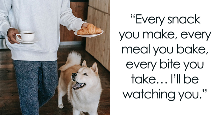 95 Funny Dog Quotes That Prove Dogs Are Pure Pawsomeness