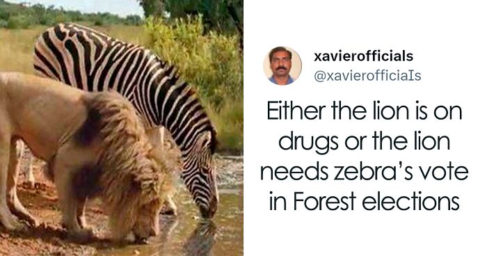 30 Times “Xavier” Shared Hilarious Posts On Social Media (New Pics)