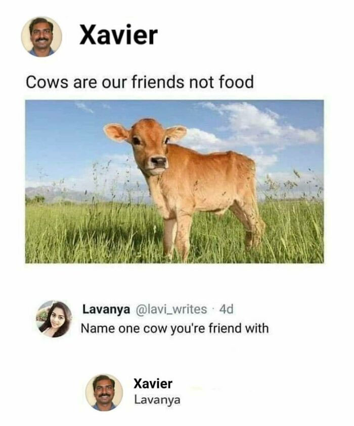 Xavier humorously replies that cows are friends, featuring a calf in a field.