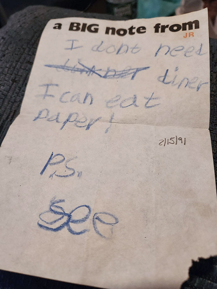 It Was Me, I Was The Stupid