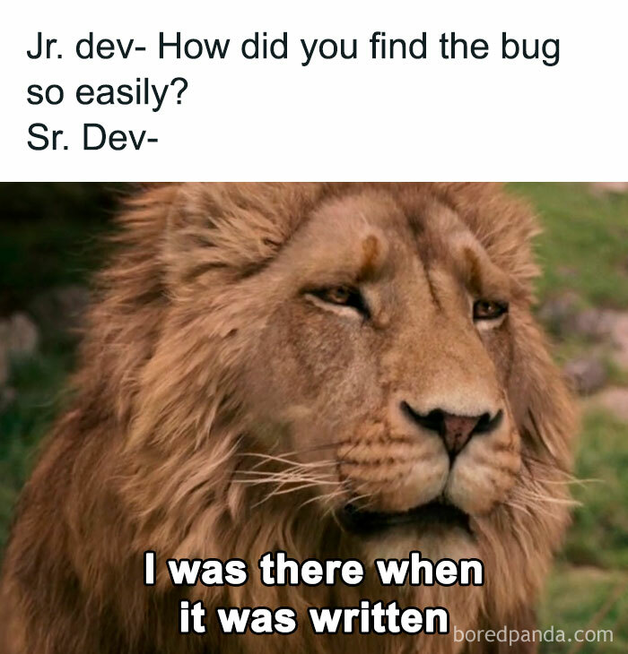 Perks Of Being A Señor Engineer