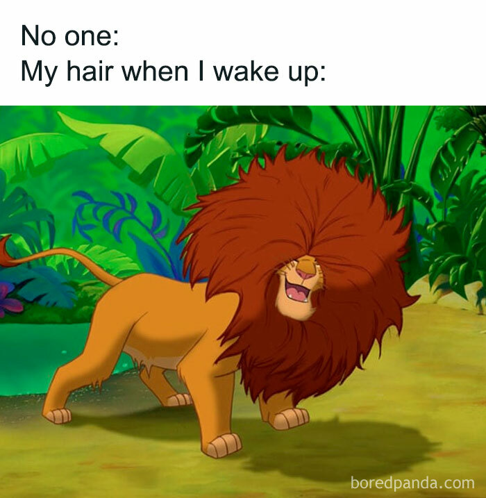 Lion with messy mane humorously illustrates morning hair struggles for women.