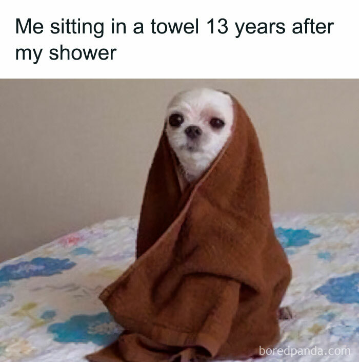 A small dog wrapped in a brown towel on a bed, resembling a funny meme about women and long routines.