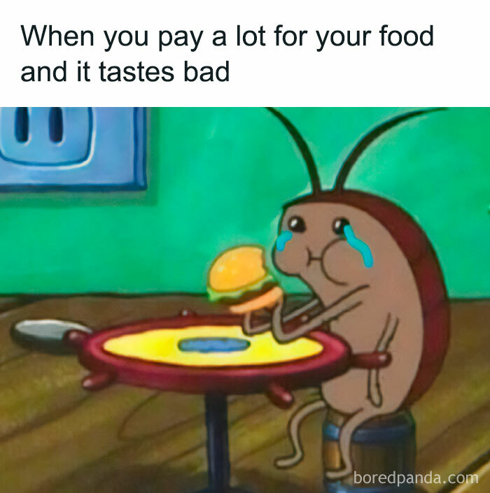 A sad cartoon cockroach holding a burger with tears, humorously critiquing overpriced food.