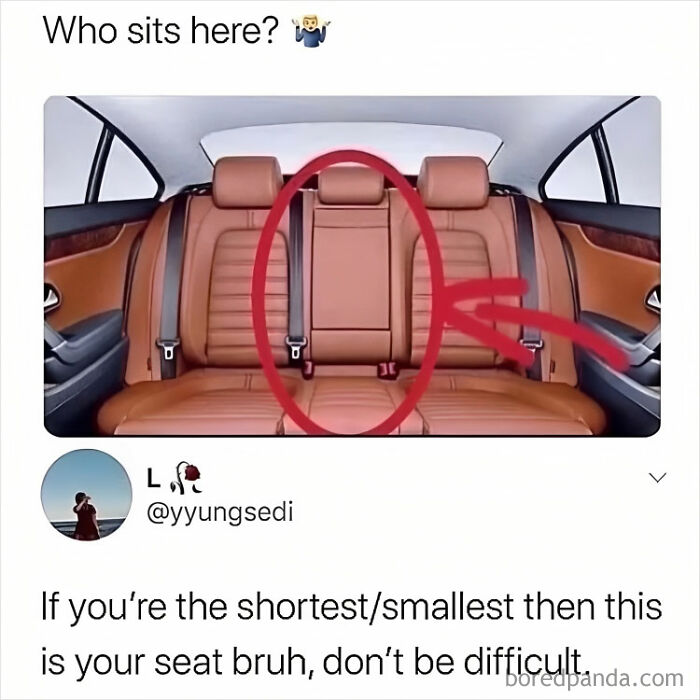 Backseat of a car with a red circle highlighting the middle seat, referencing a hilarious meme about seating arrangements.