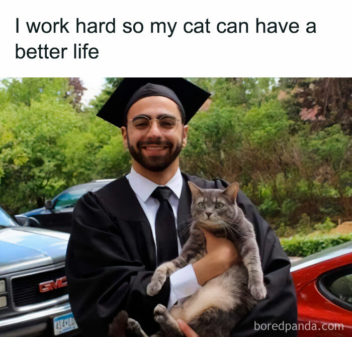 Graduate holds cat, showcasing a hilarious life meme.