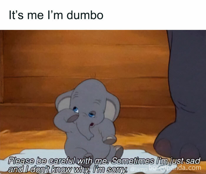Cute baby elephant representing life struggles in a meme, making a humorous statement with big eyes and a gentle expression.