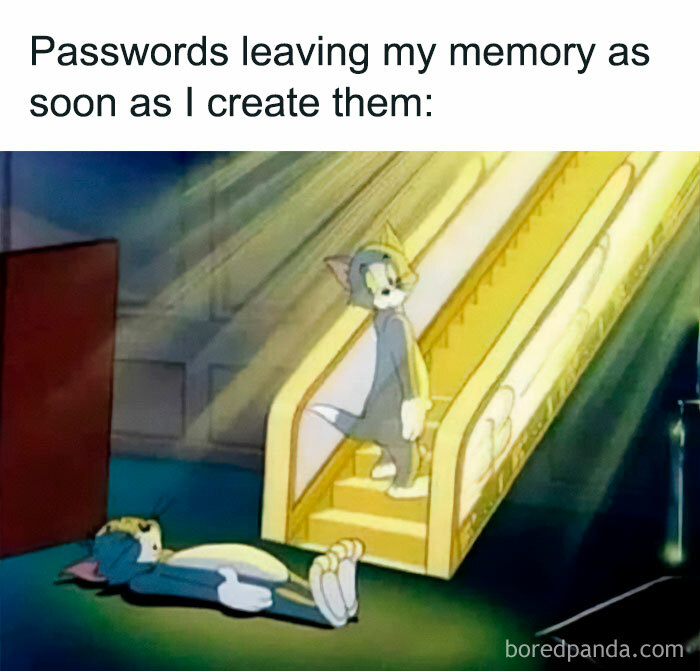 Cartoon cat humorously forgetting passwords, highlighting life memes about memory challenges.