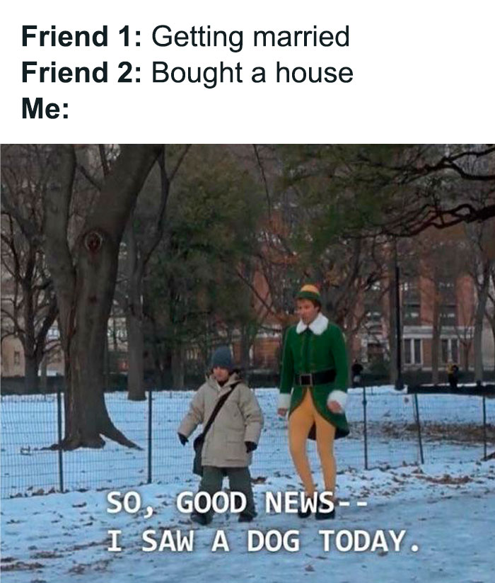 Relatable friendship meme showing scenes from a park with funny text about life updates and seeing a dog.