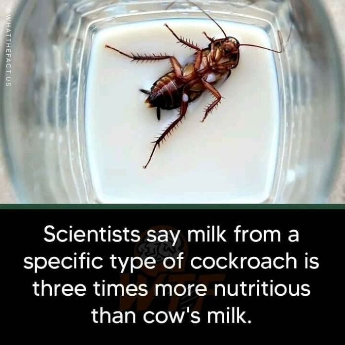 Funny-Science-Humor-Jokes