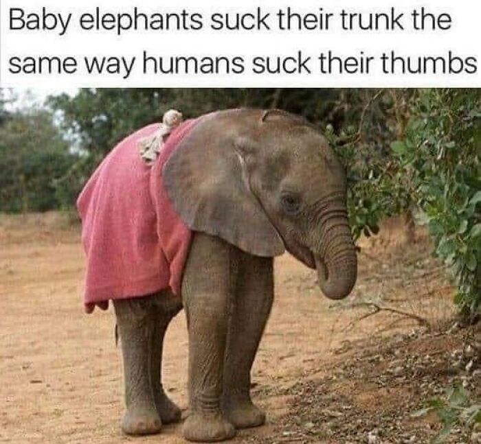 Funny-Science-Humor-Jokes