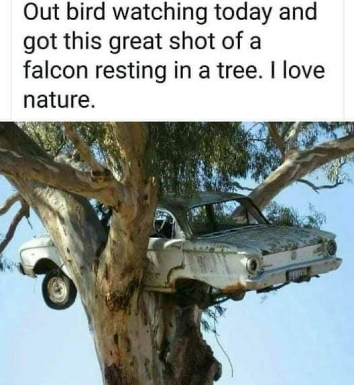 Funny-Science-Humor-Jokes