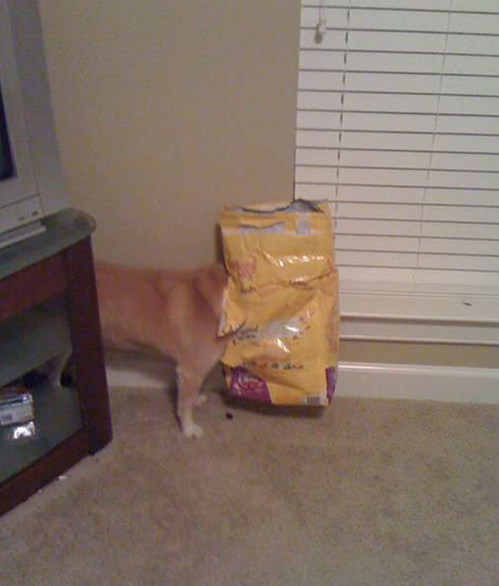 Who Knows How Long She Was Like This