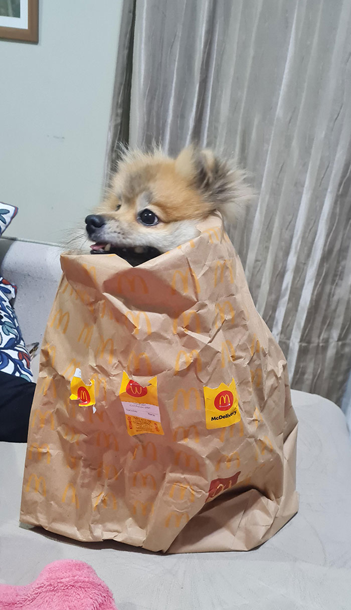 These Happy Meal Toys Are Getting Out Of Hand