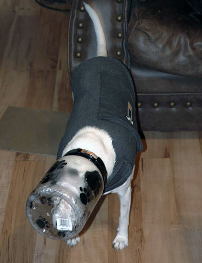 So We Came Home To This Last Night