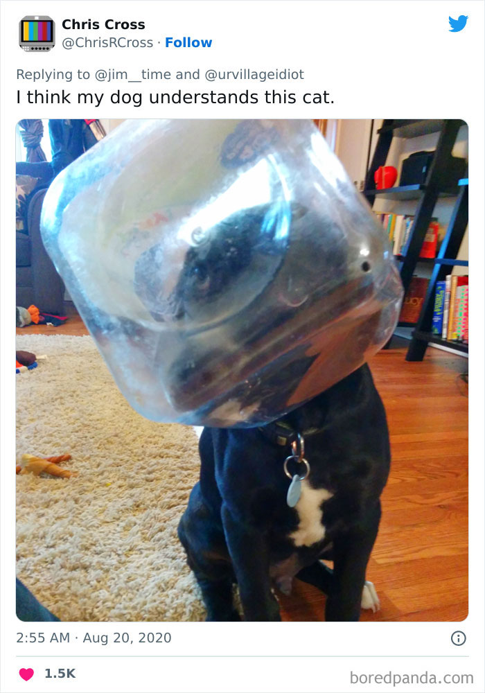 If Eyes Could Ever Say "Help Me" This Is It