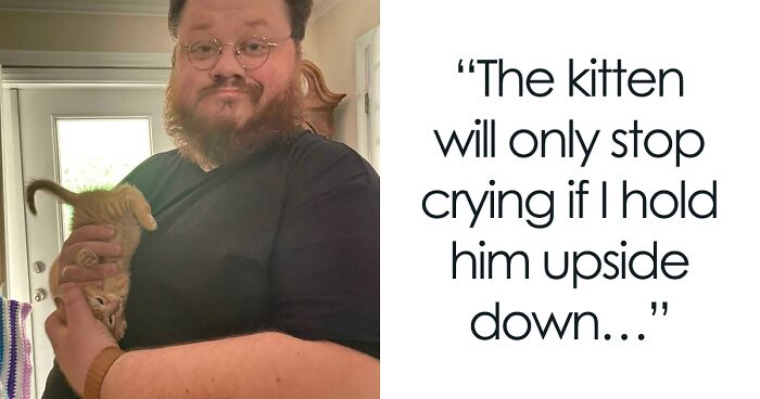 This Twitter Page Is Home To ‘Unexplainable’ Cat Behaviors, And Here Are 50 Of The Most Unhinged