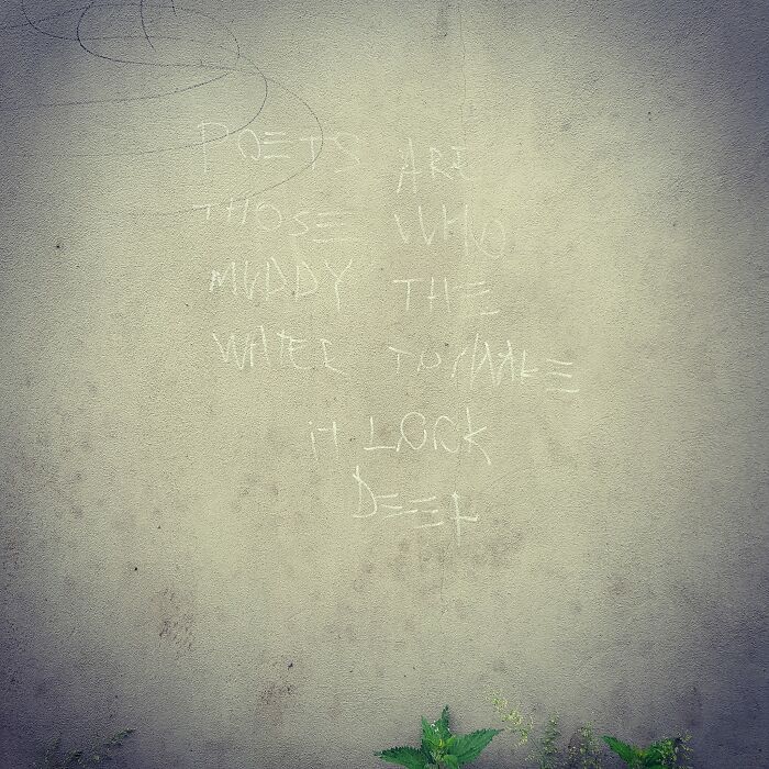 Poets Are Those Who Muddy The Water To Make It Look Deep