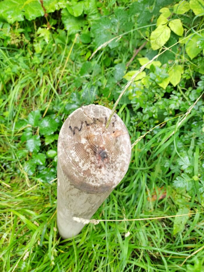 It's Graffiti, But Why?