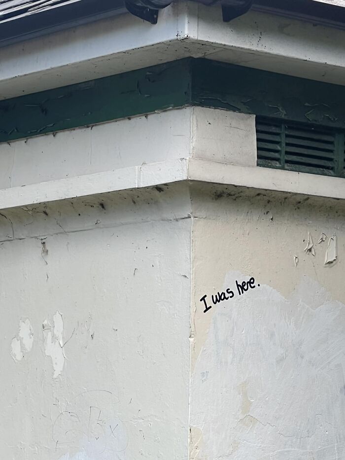 ‘Was You ?’ Found In My Village In Southport