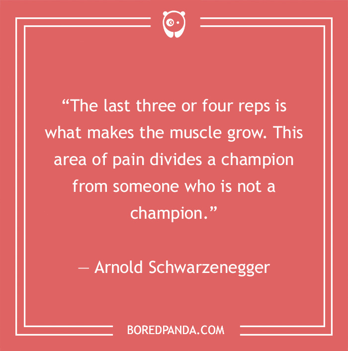 Arnold Schwarzenegger quote on being champion  - 9