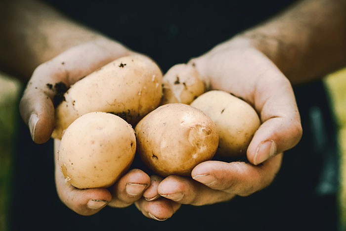 Man holding potatoes