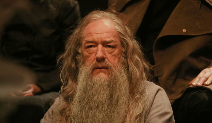  Albus Dumbledore looking