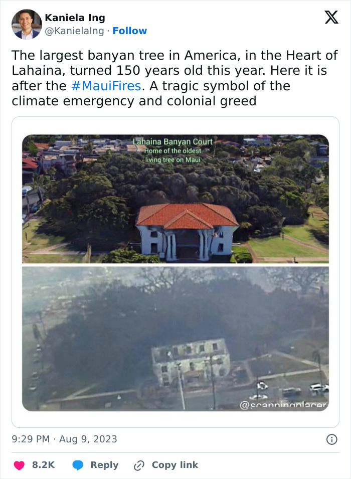 Maui Is Devastated After 'Apocalyptic' Wildfire Hits Hawaii (Updated)