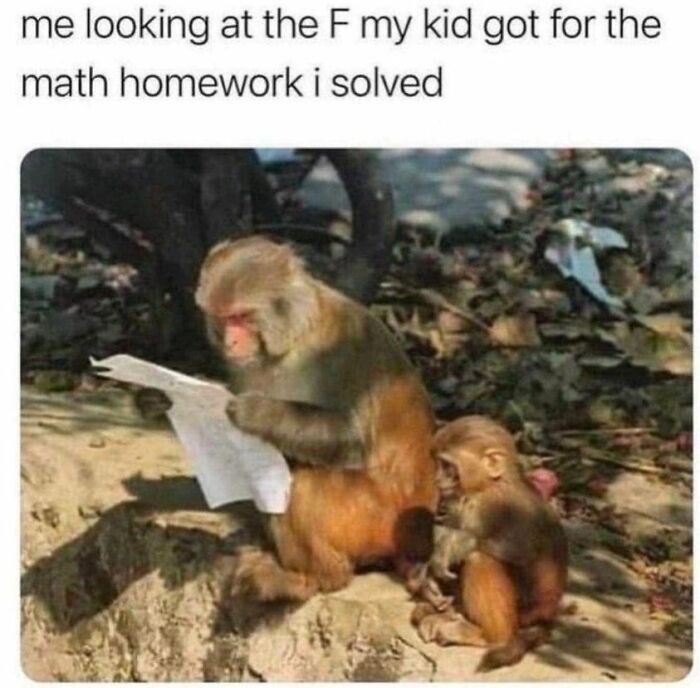 Hilarious-Parenting-Memes