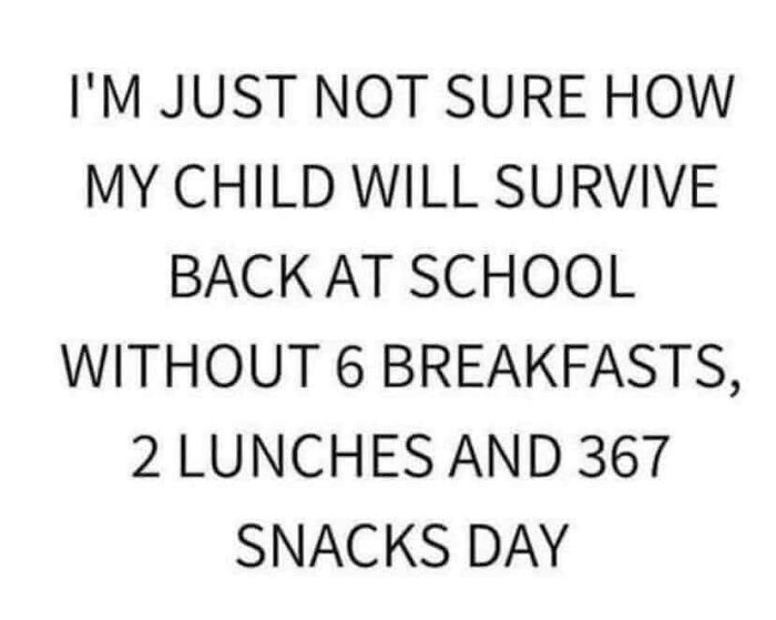 Hilarious-Parenting-Memes