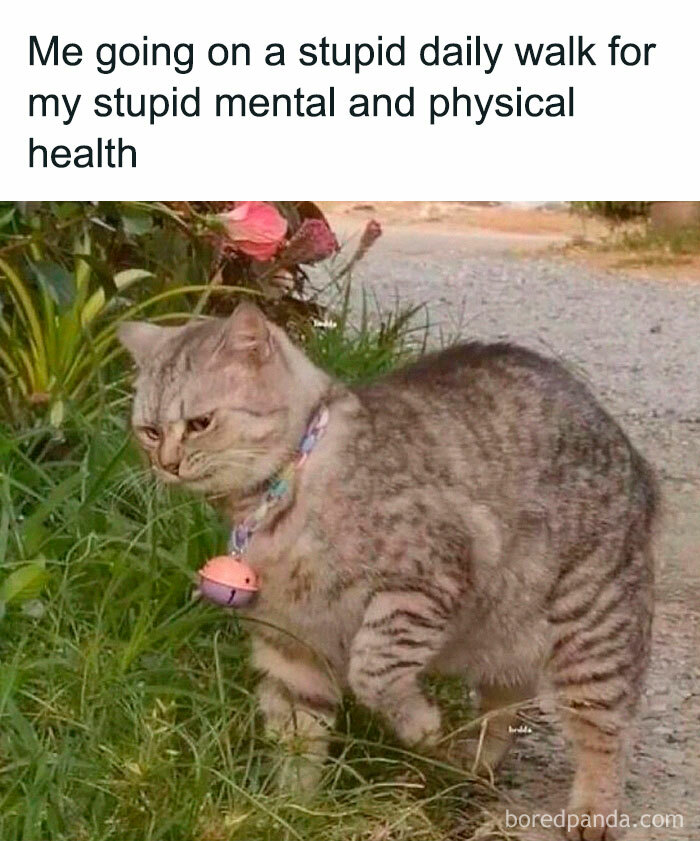 Hilarious-Sarcastic-Memes