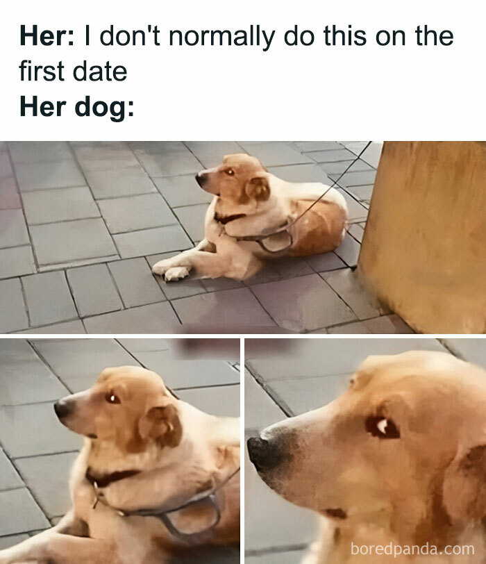 Hilarious-Sarcastic-Memes