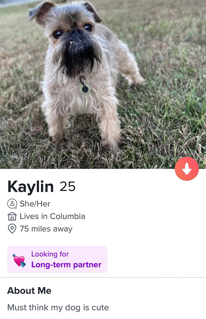 Funniest Thing I've Ever Seen