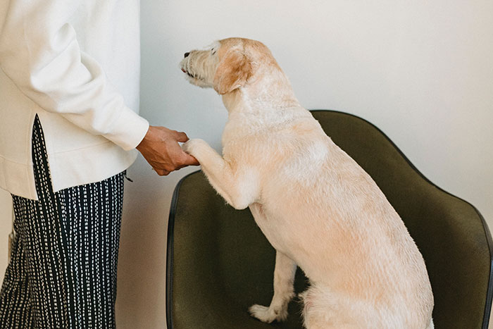 “Every Car Parked There Got Towed”: 50 HOA Horror Stories