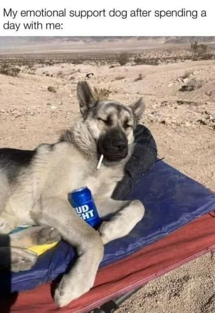 Horror-Community-Memes-The-Devils-Playground