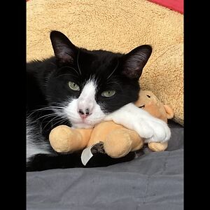 mackenziezachman avatar