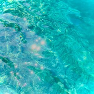 pockystickjoy avatar