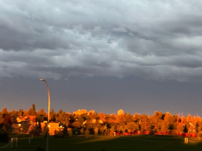 The Calm Before The Storm!