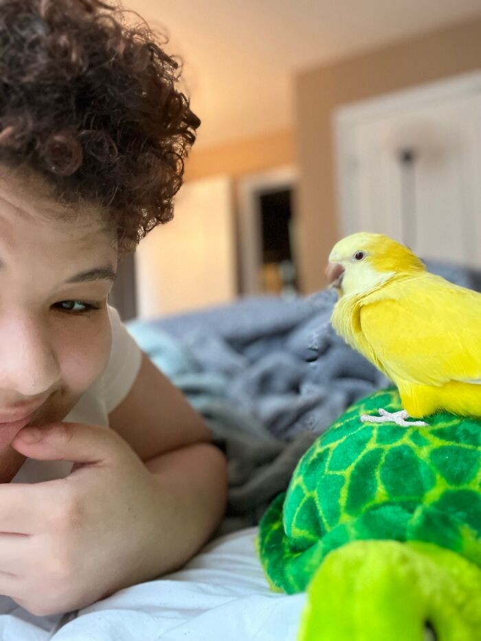 #29 This Is Helios, Our Quaker Lutino Burb!