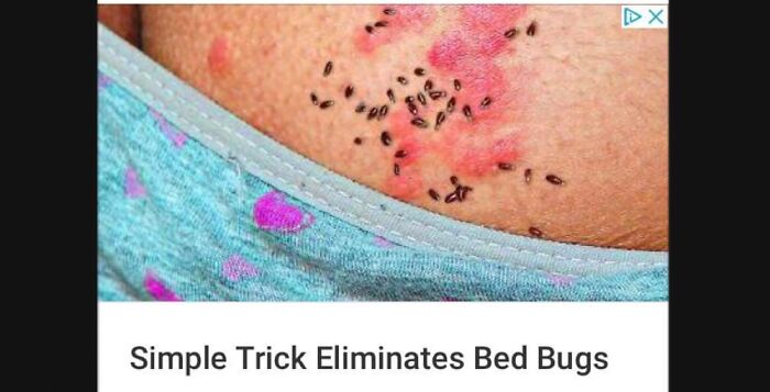 I Really Had Better Hopes For The Internet