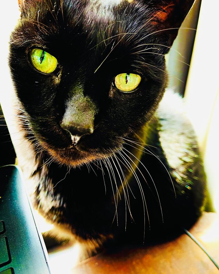 My Sweet Old Man, Jude