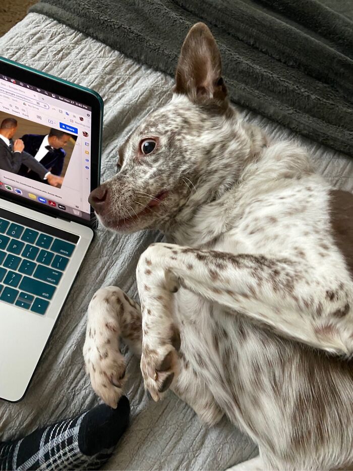 Pepper Does Not Approve Of Violence!