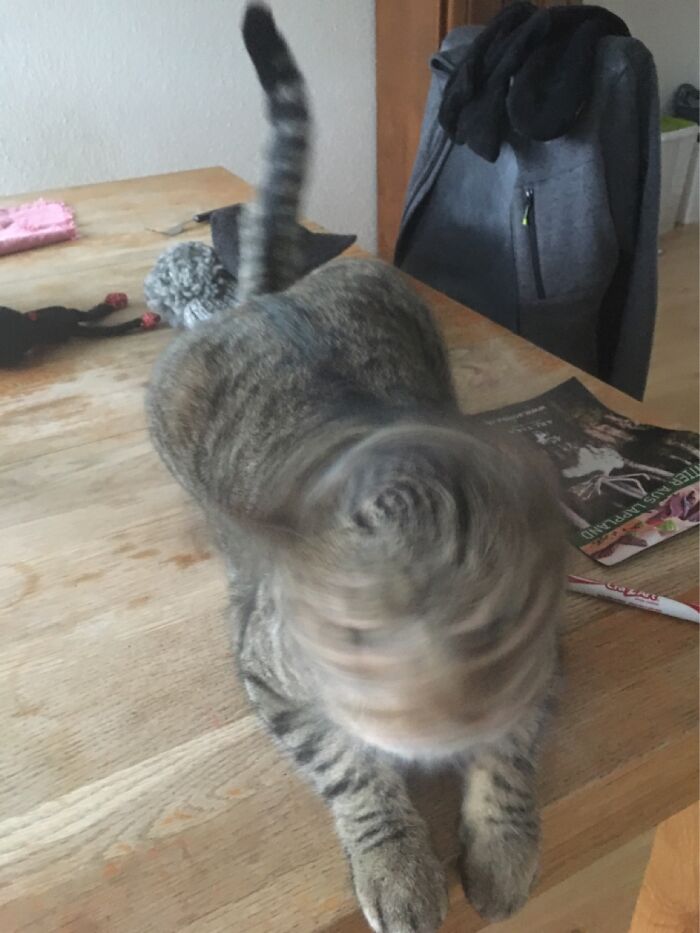 He Shook His Head At The Perfect Moment