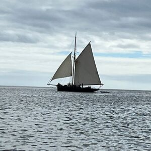 clairewillems avatar