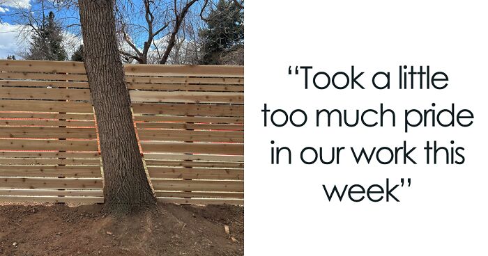 50 Times People Took Woodworking To The Next Level As Shared In This Group (New Pics)