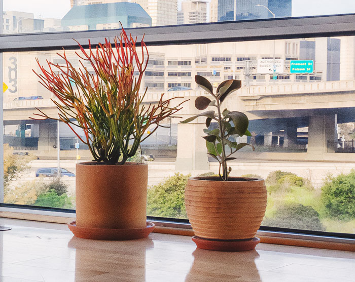 30 Weird Office Rules That Made People Say ‘You Gotta Be Kidding Me’