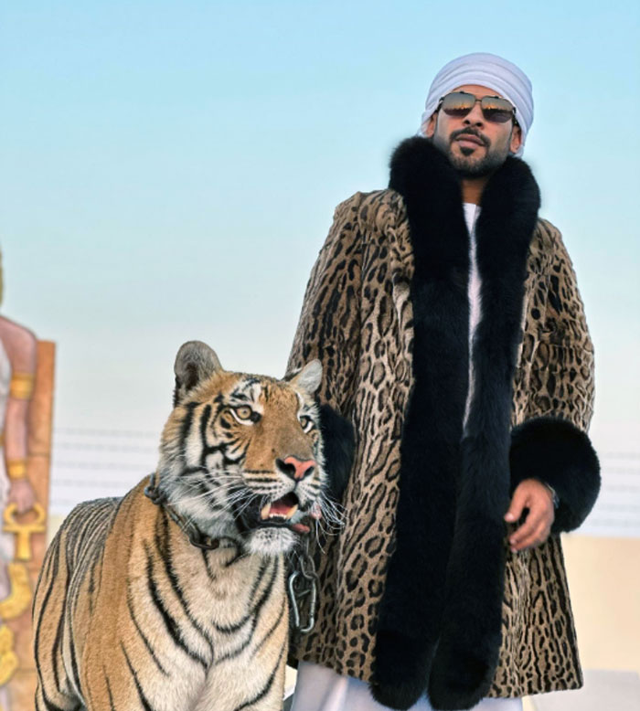 Having A Tiger As A Pet Just Because You Can